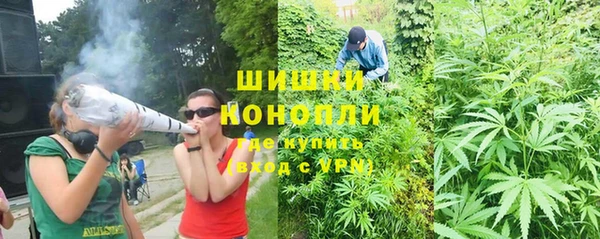 стафф Майский