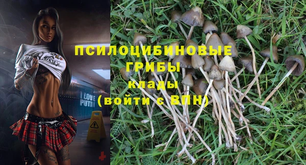 стафф Майский
