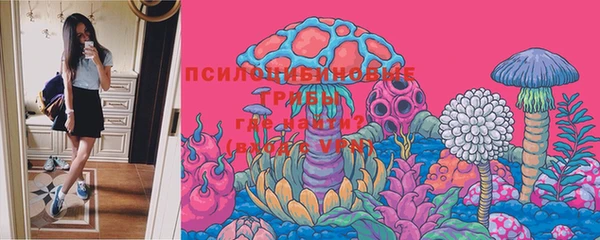 стафф Майский