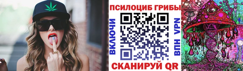 Псилоцибиновые грибы Cubensis  закладки  Тутаев 
