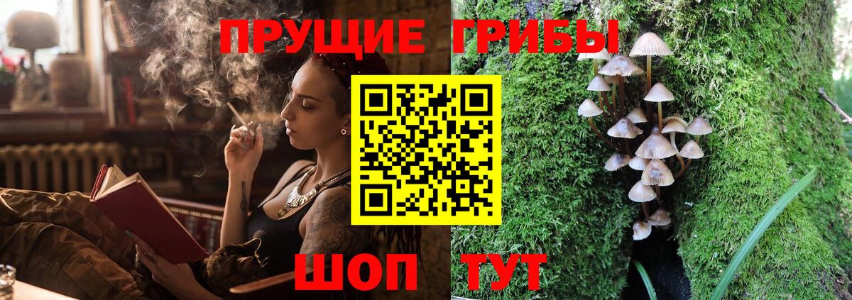 Галлюциногенные грибы Psilocybe Тутаев