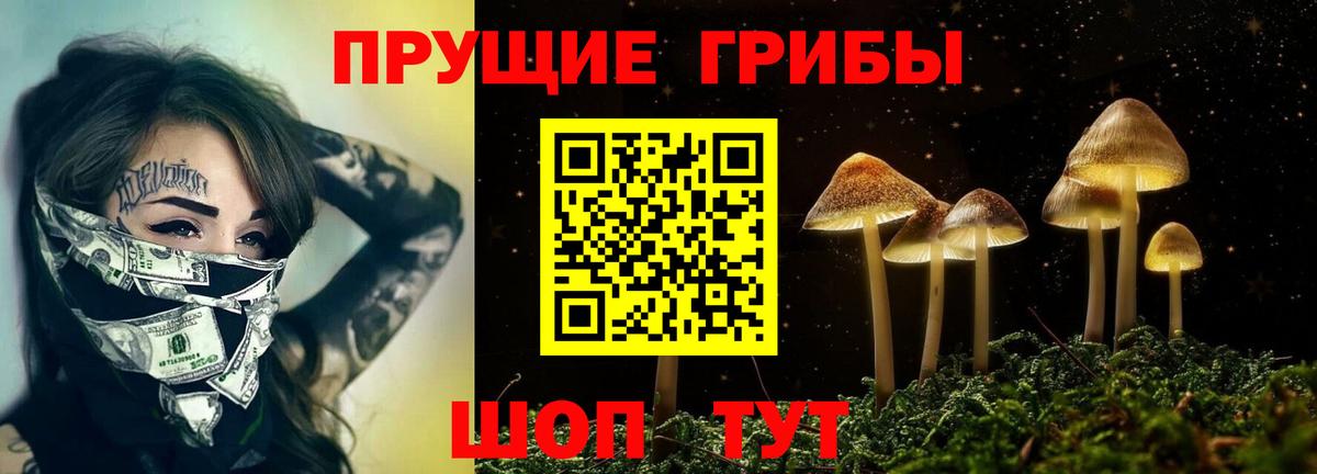 Псилоцибиновые грибы мухоморы Тутаев