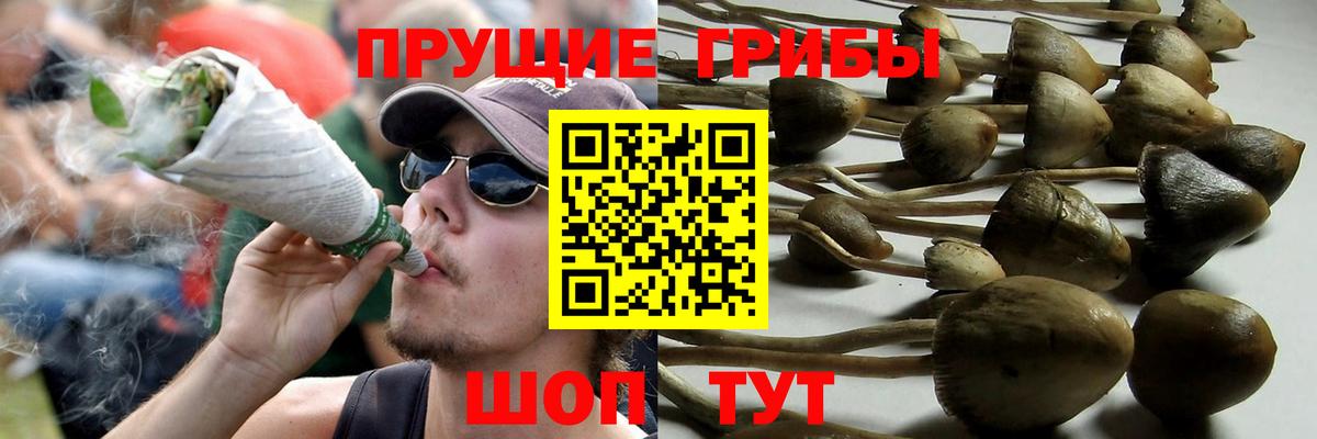 Галлюциногенные грибы мицелий  Псилоцибиновые грибы мухоморы  Вход с VPN  Тутаев 